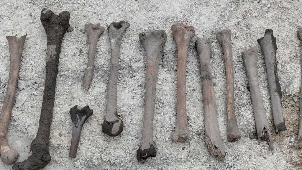 Kannibalismus in der Eiszeit: Menschen in Europa verzehrten ihre Toten