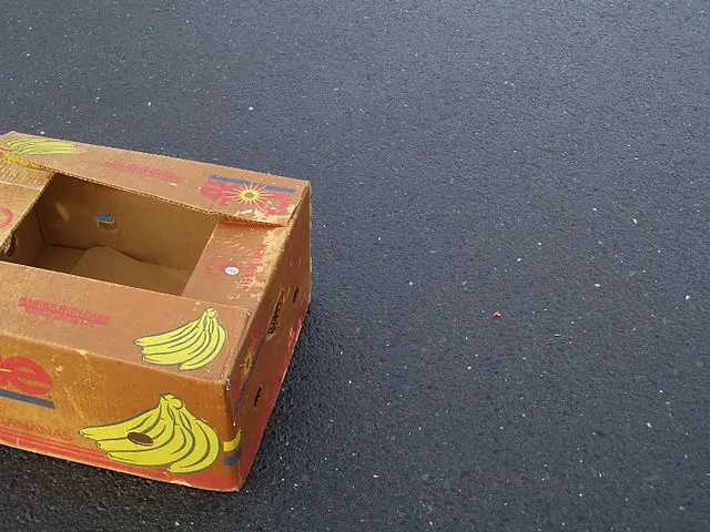 95 Kilo Kokain in Bananenkartons entdeckt: Discounter im Rheinland betroffen