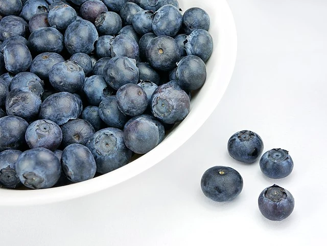 Wissenschaftler haben entdeckt, dass der Verzehr von Blaubeeren Sie schlauer macht und Ihr Gedächtnis erheblich verbessert