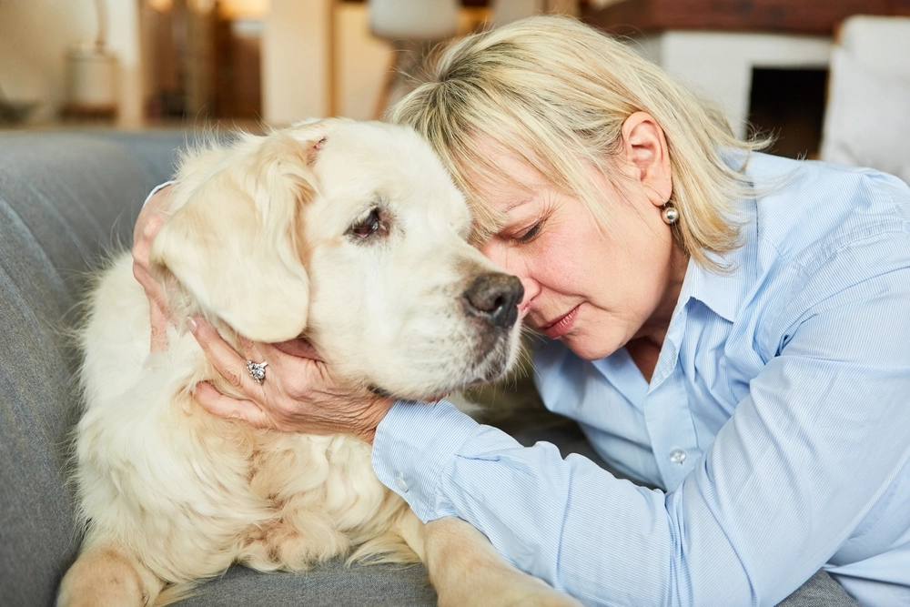 Hilft gegen Depressionen und andere Krankheiten: Deshalb ist der Hund der beste Freund des Menschen