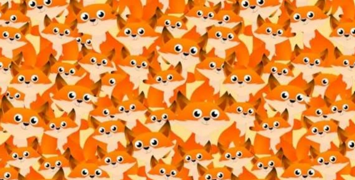 Such- und Finde-Rätsel: Findest du das Eichhörnchen, bevor die Zeit abläuft?