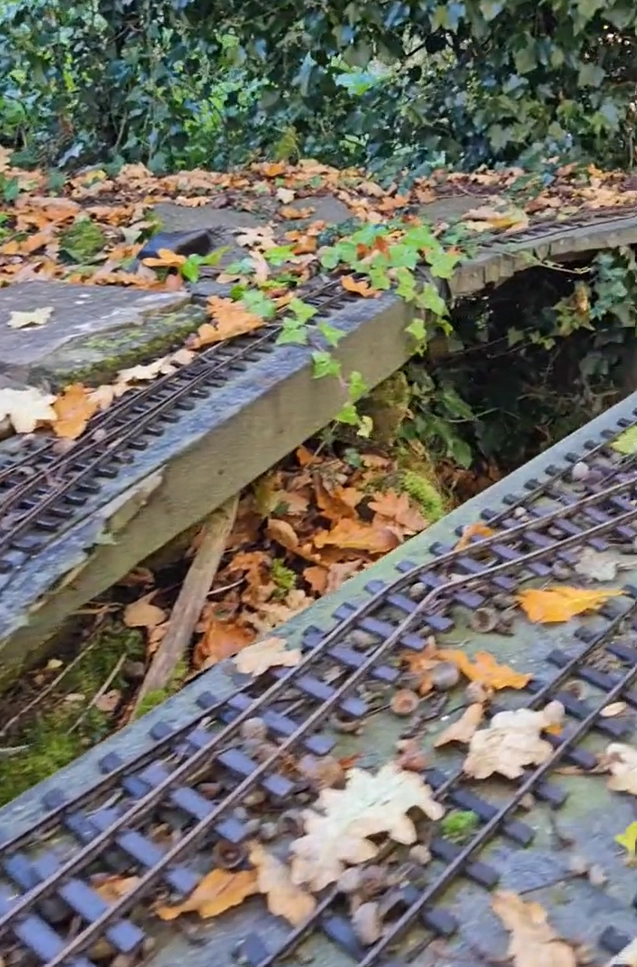 Hauseigentümer findet riesige verlassene Modelleisenbahn im Hintergarten