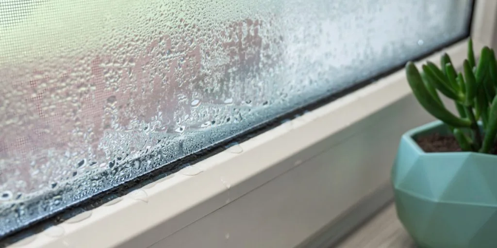 Experte teilt sensationelle 3,50€–Amazon-Lösung: So halten Sie Schimmel fern und Ihr Haus warm