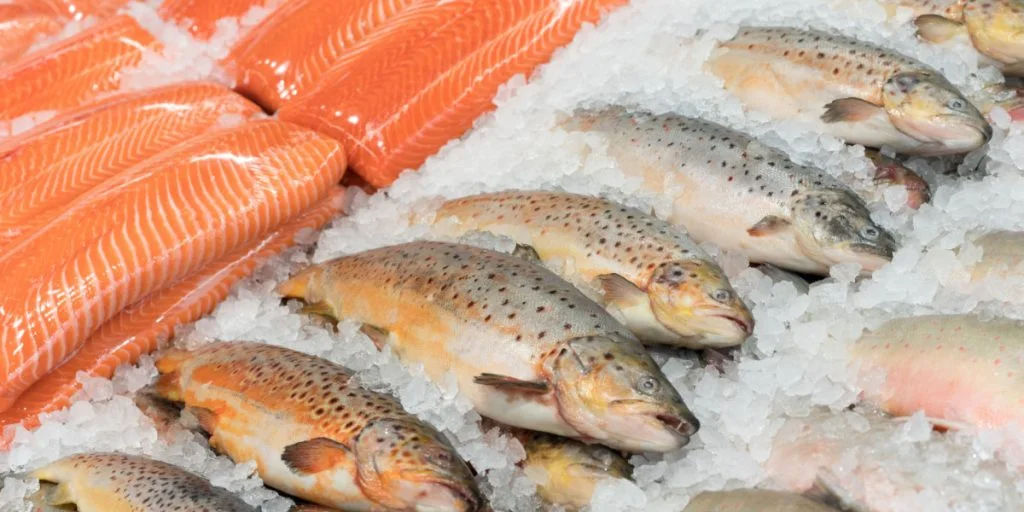 Lebensmittelrückruf: Gesundheitsgefährdende Substanz in Forellenprodukten entdeckt