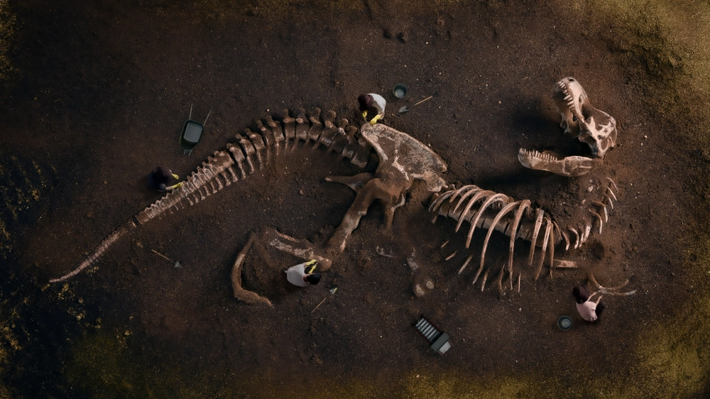 70 Millionen Jahre altes riesiges Dinosaurierskelett von Kopf bis Schwanz verbunden gefunden