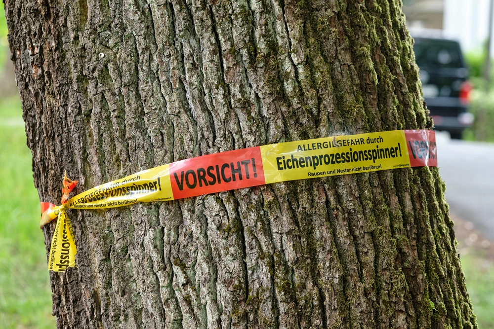 Schwarze Beutel am Baum als Warnsignal