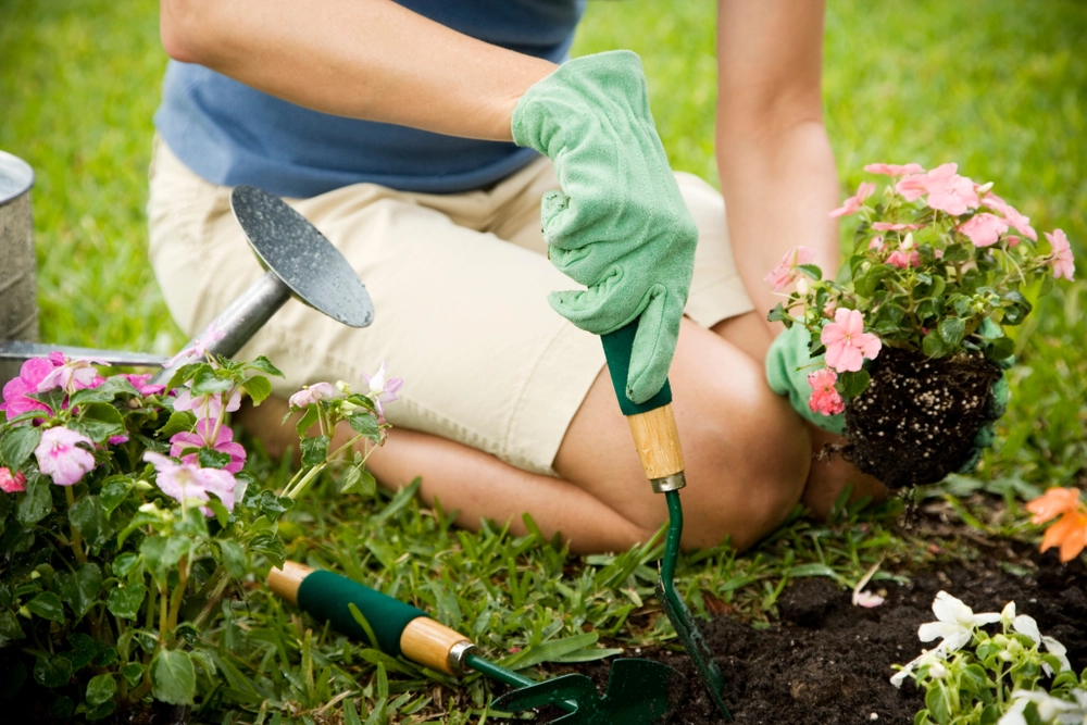 Mulchen: Der Schlüssel zu einem gesunden Garten