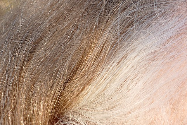 Wann kommen die ersten grauen Haare?