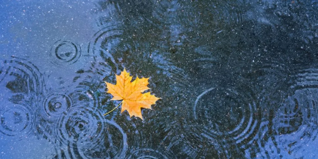 Herbstwetter im Oktober: Was uns in den nächsten Tagen erwartet