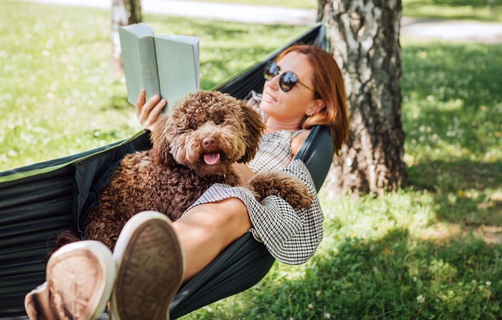 Die Hunde, die dich am meisten lieben: Die 13 liebevollsten Hunderassen – ist deine dabei?