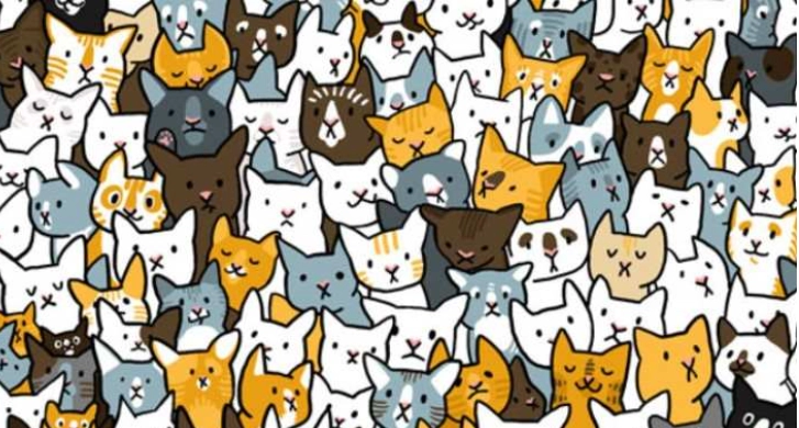 Optische Täuschung IQ-Test: Nur 1% können das Kaninchen, das sich unter den Katzen im Bild versteckt, innerhalb von 9 Sekunden finden