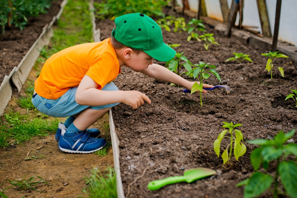 Vorsicht im Garten: Fünf Pflanzen, die Kinder meiden sollten