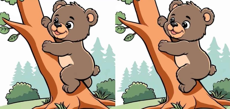 Finde 3 Unterschiede zwischen den Koala-Bildern in 13 Sekunden