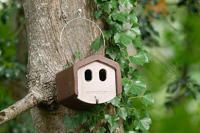 Vogelschutz im eigenen Garten: Tipps für den perfekten Nistkasten