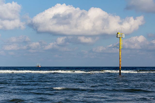 Urlaub an der Nordsee in Gefahr: Quallenplage droht