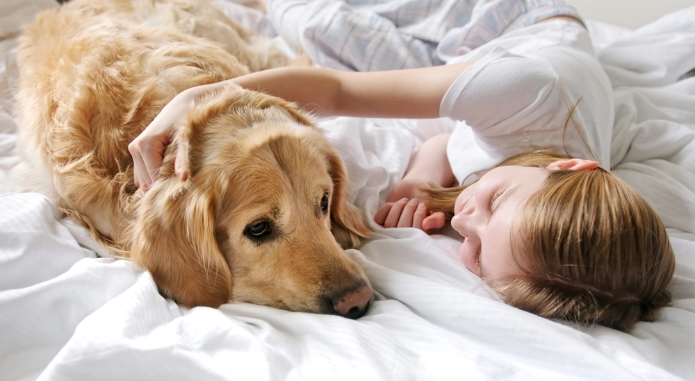 Diese 20 süßen Hunde werden Ihre Laune verbessern und den Tag ein bisschen schöner machen