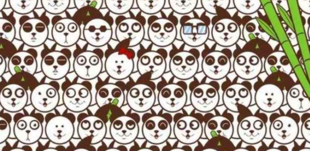 Nur 2% mit Laserblick können den Fußball finden, der sich in 8 Sekunden unter Pandas versteckt