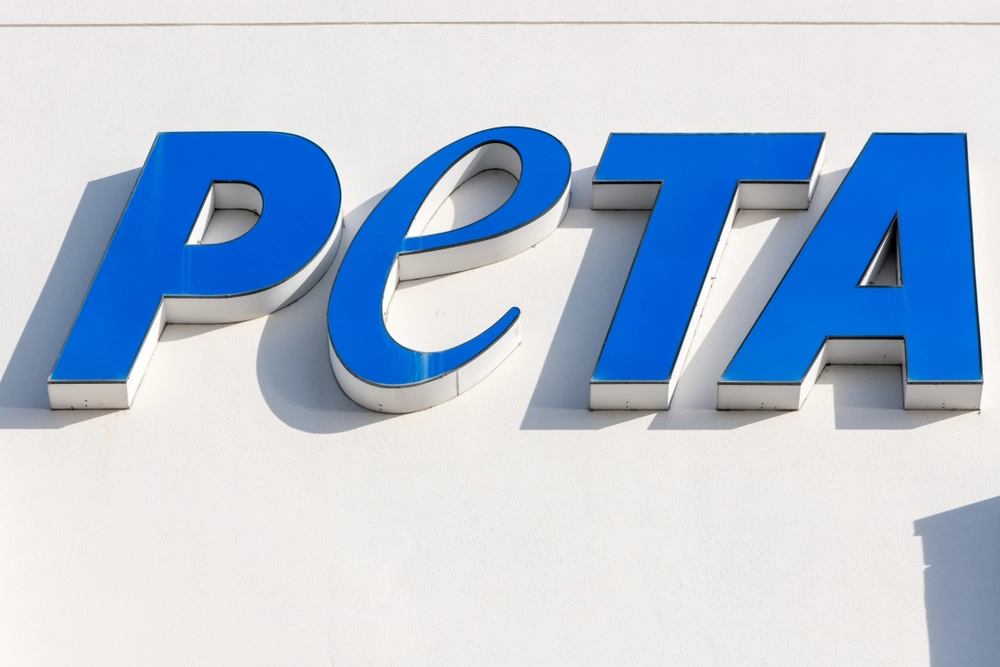 PETA bietet RTL 100.000 Euro: Dschungelcamp soll vegan werden