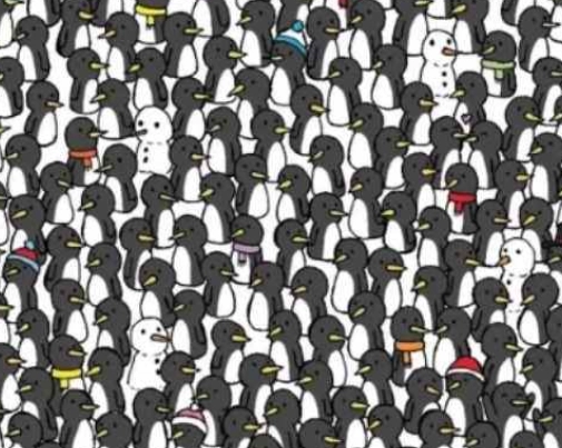 Testen Sie Ihre Beobachtungsgabe: Können Sie die versteckten Katzen unter den Pinguinen in 11 Sekunden entdecken?