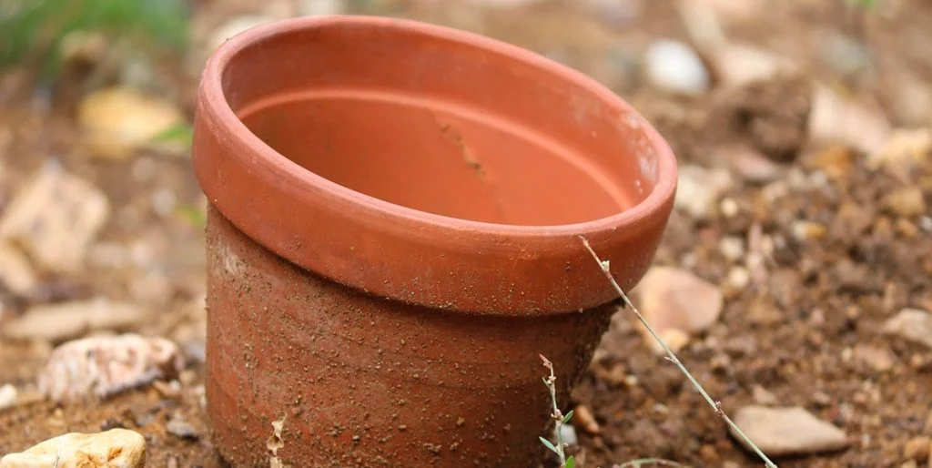 Tipps für frostfreie Terrakottatöpfe im Winter