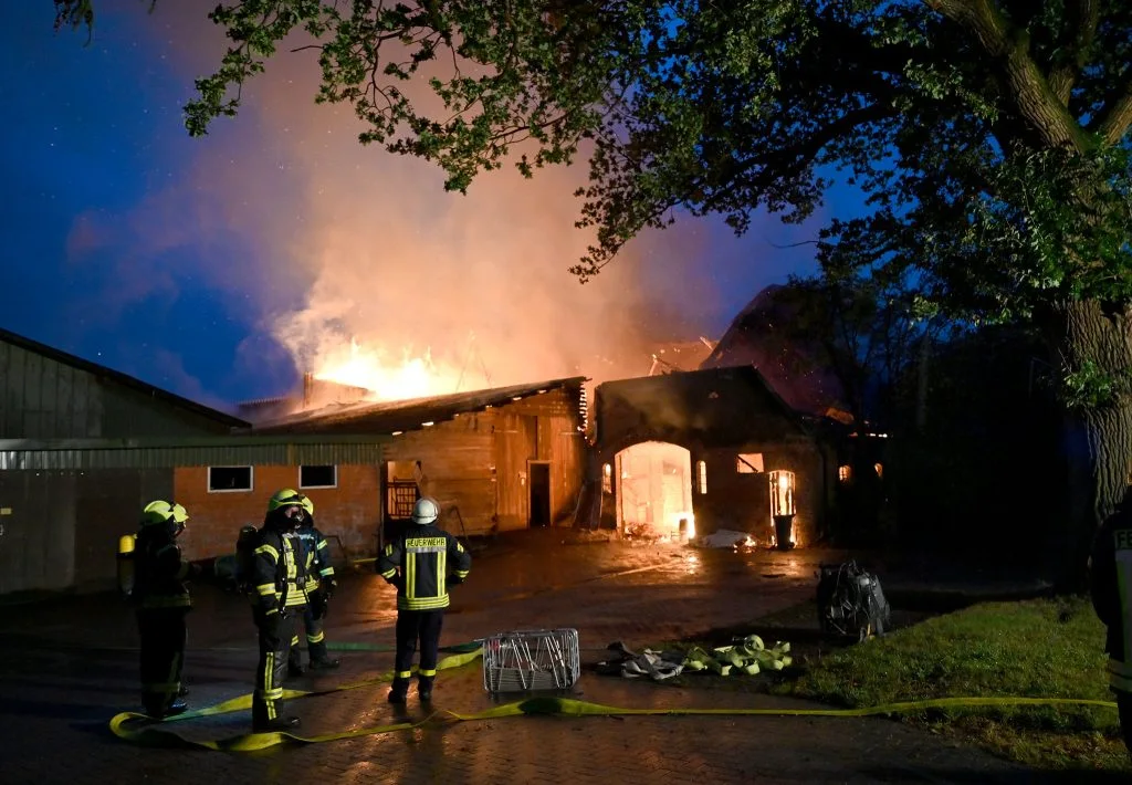 20 Kälber verenden in Flammen: Feuerwehr kämpft gegen Großfeuer