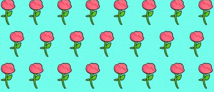 Testen Sie Ihre Sehkraft: Können Sie die ungewöhnliche Rose im Bild innerhalb von 9 Sekunden finden?
