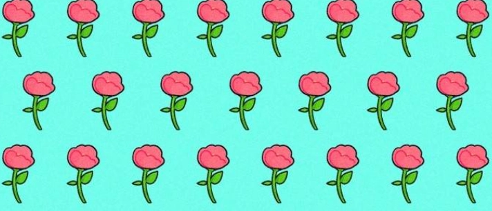 Testen Sie Ihre Sehkraft: Können Sie die ungewöhnliche Rose im Bild innerhalb von 9 Sekunden finden?