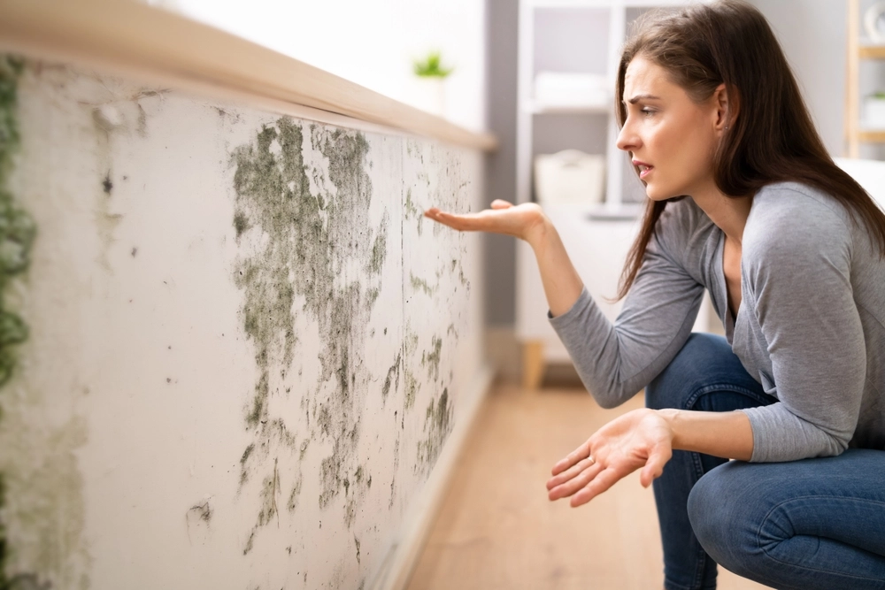 Schimmel in der Wohnung? Mit einfachen Mitteln effektiv bekämpfen