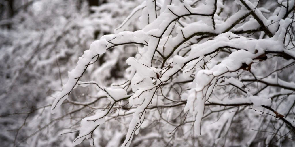 Alarmstufe Weiß: Schneechaos droht in diesen deutschen Regionen