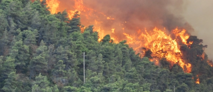 Feuerwerk von Luxusyacht entfacht Waldbrand in Griechenland