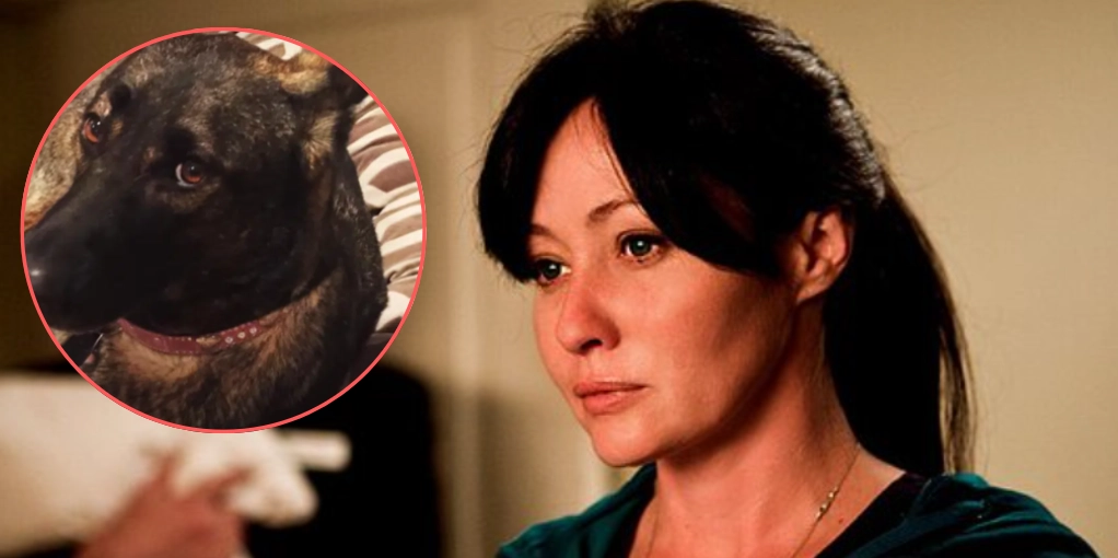 Shannen Dohertys Hund Bowie war der Held, der als Erster ihren Krebs entdeckte – Ruhe in Frieden, Shannen