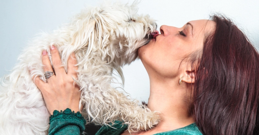 Umfrage zeigt, dass Menschen ihre Hunde öfter küssen als ihre Partner