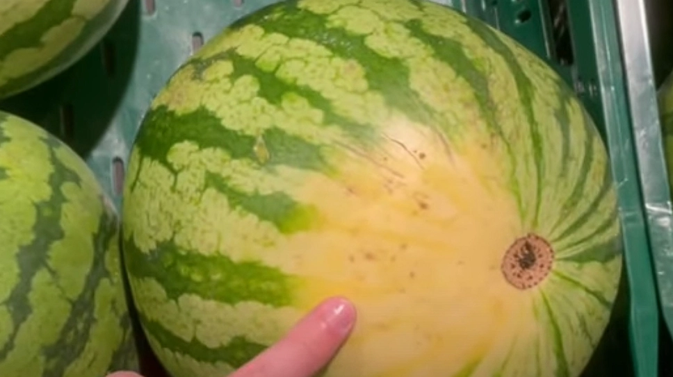 Du machst es falsch. Hier ist die Schritt-für-Schritt-Anleitung, wie man eine Wassermelone rein nach dem Aussehen auswählt