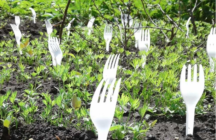 So halten Sie Tiere mit Plastikgabeln aus Ihrem Garten fern (und warum es funktioniert)