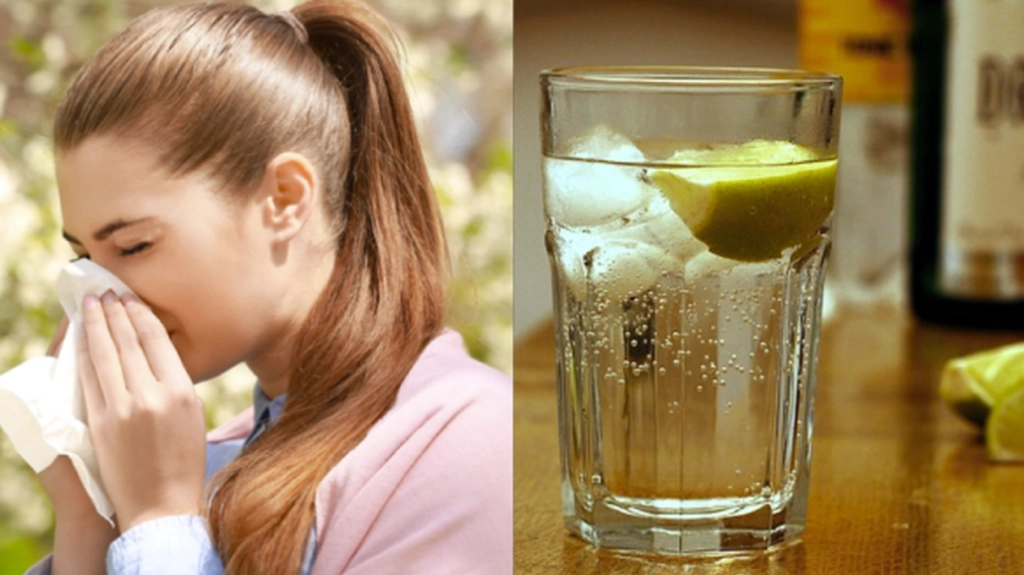 Leiden Sie unter Heuschnupfen? Dann sollten Sie vielleicht einen Gin Tonic trinken