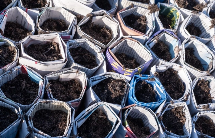 Verwenden Sie Ihre Zeitung im Garten: 6 praktische Tipps