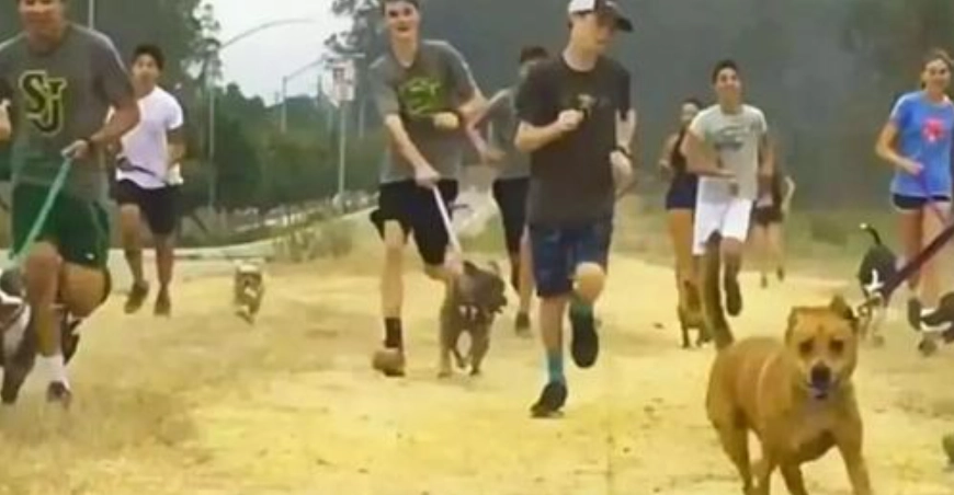 Statt Sportunterricht: Schüler dieser Schule laufen mit Tierheimhunden (Video)