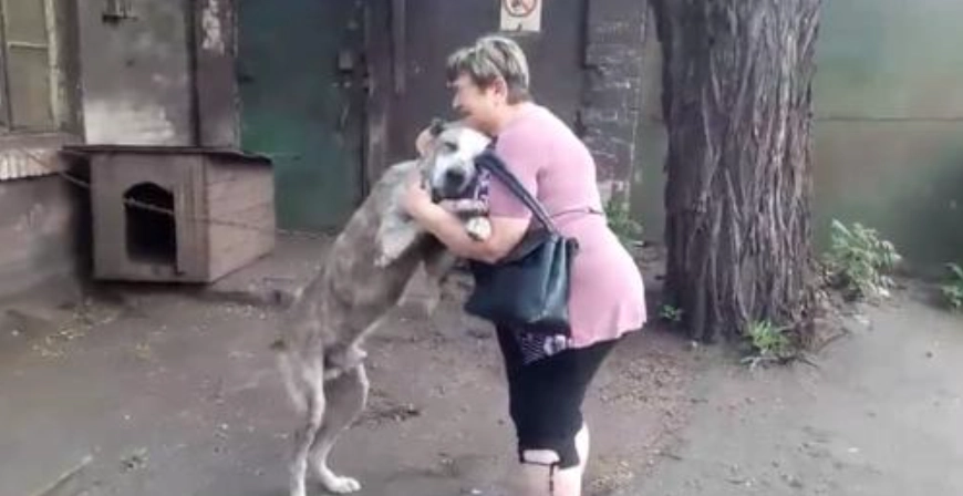 Frau bricht in Tränen aus, als sie ihren Hund nach zwei Jahren Suche wiederfindet (Video)