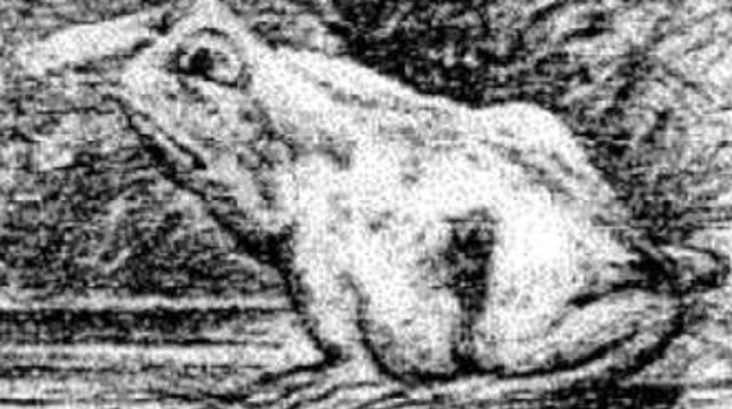 Welches Tier sehen Sie auf dem Bild? Dieser Test verrät viel über Ihre wahre Persönlichkeit