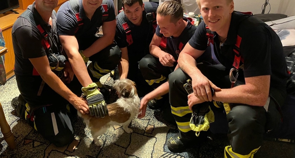 Dramatische Rettung am Vorabend des 90. Geburtstags: Feuerwehr befreit eingeklemmten Hund Rocky