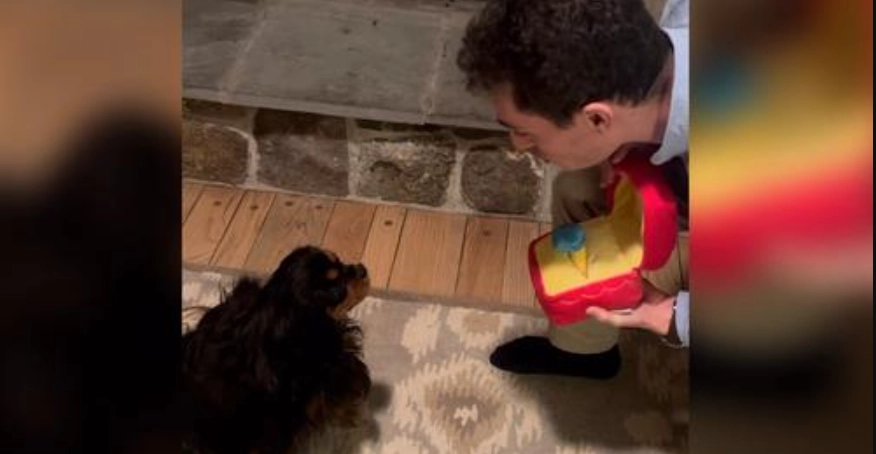 Mann macht seiner Freundin einen Heiratsantrag — und dann auch noch ihrem Hund