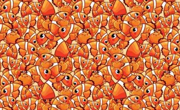 Kannst du den Seestern zwischen Fischen und Krabben in 8 Sekunden entdecken?