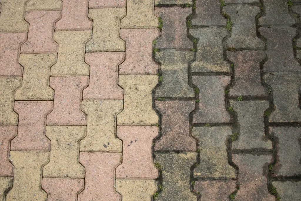 Schluss mit Moos: Effektive Reinigungstipps für Ihre Terrasse