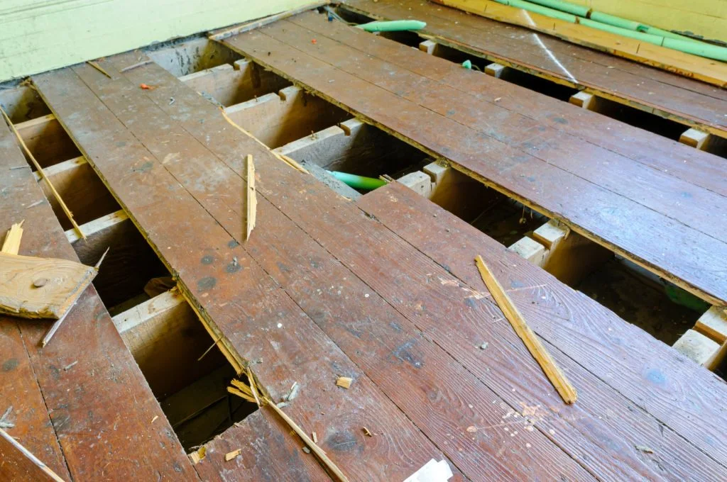 Geheimnis unter den Dielen: Frau entdeckt mysteriöses Buch in altem Haus