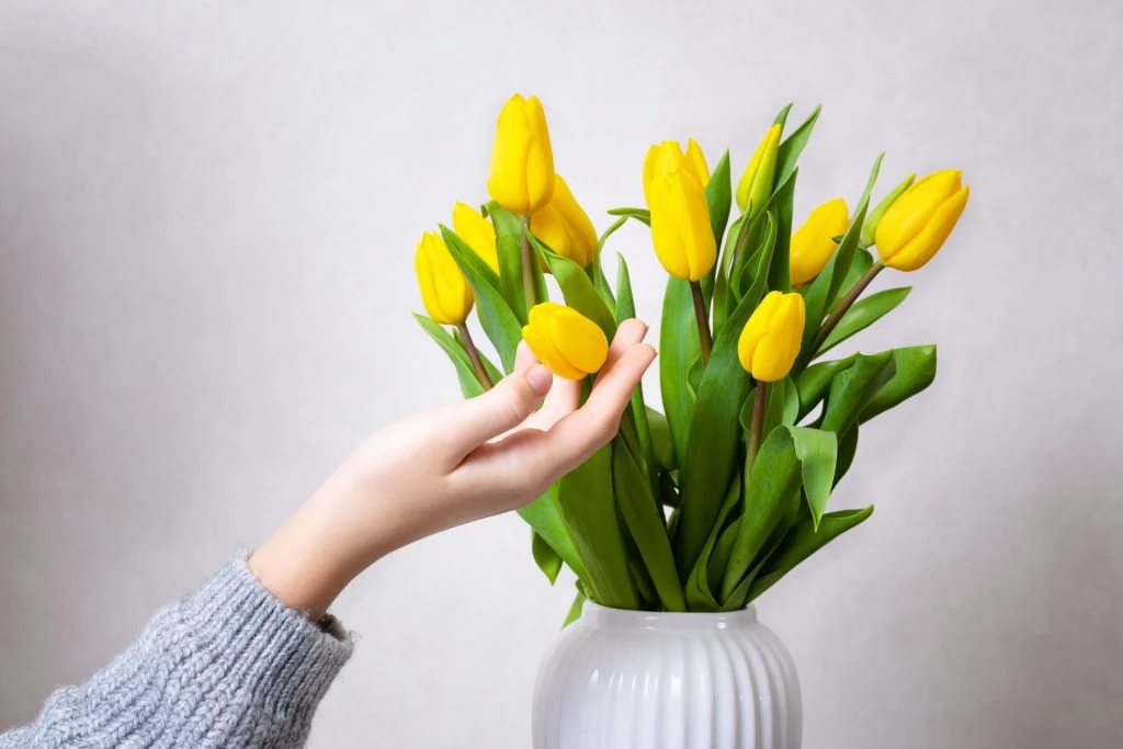 Strahlend saubere Vase? Verwenden Sie einfach diese drei einfachen Zutaten