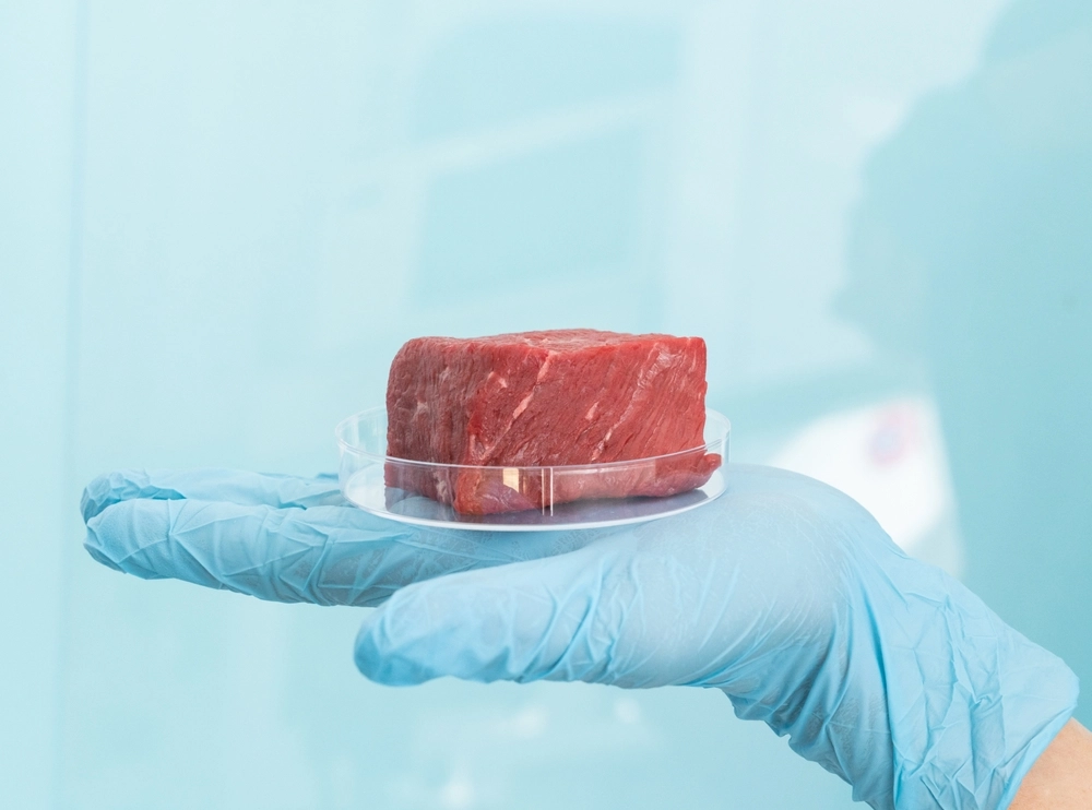 Großbritannien Pionier in Europa mit Laborfleisch für Haustiere