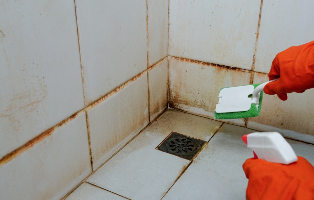 Beseitigen Sie Schimmel in der Dusche in nur 10 Minuten ohne Bleichmittel – und verhindern Sie dessen Rückkehr