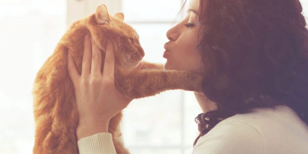Mögen Katzen Küsse? Französischer Katzenexperte gibt Antwort