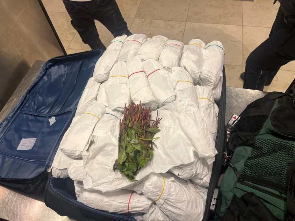 Zoll stoppt Reisenden mit 31 Kilogramm Kath am Flughafen BER