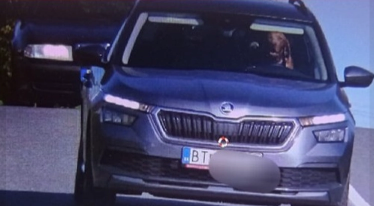 Polizeibeamte trauten ihren Augen nicht: Steuert da wirklich ein Hund das Auto?